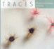 Traces-P