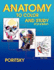 Anatomy to Color and Study 2nd Edition