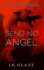 Send No Angel: John Hazard Book III