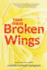 Take These Broken Wings