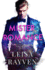 Mister Romance (Masters of Love)