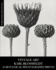 Vintage Art: Karl Blossfeldt 20 Botanical Photography Prints
