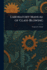 Laboratory Manual of Glass-Blowing