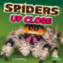 Spiders Up Close (Backyard Science)