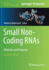 Small Non-Coding RNAs: Methods and Protocols