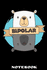 Bipolar Notebook: Mood Tracker: Great Anti Stress Bear Notebook Or Journal for Your General Wellbeing, Depression Level. 6x9 Squared Anxiety Diary / Planner