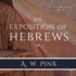 An Exposition of Hebrews: Vol 1