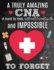 A Truly Amazing Cna is Hard to Find, Difficult to Part With and Impossible to Forget: Thank You Appreciation Gift for Certified Nursing Assistants Or...| Journal | Diary for World's Best Cna