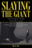 Slaying the Giant: Uncovering the Things They Like to Hide