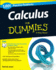 Calculus: 1, 001 Practice Problems for Dummies (+ Free Online Practice) (for Dummies Series)