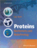 Proteins Biochemistry and Biotechnology