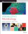 Visualizing Microbiology (Visualizing Series)
