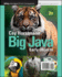 Big Java: Early Objects