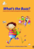 What's the Buzz? : a Social Skills Enrichment Programme for Primary Students