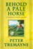 Behold a Pale Horse (Sister Fidelma Mysteries Book 22): a Captivating Celtic Mystery of Heart-Stopping Suspense