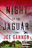 Night of the Jaguar: a Novel