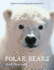 Polar Bears