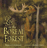 Life in the Boreal Forest