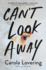 CanT Look Away: a Novel