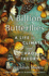 A Billion Butterflies: a Life in Climate and Chaos Theory