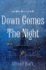 Down Comes the Night: a Novel