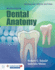 Woelfel's Dental Anatomy, Enhanced Edition With Navigate 2 Advantage Access