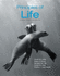 Principles of Life International 3ed (Hb 2019)