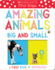 Amazing Animals Big and Small: a First Book of Opposites: Scholastic Early Learners (My First)