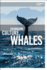 Colonialism, Culture, Whales (Environmental Cultures)