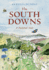 The South Downs: A Painted Year