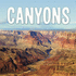 Canyons (Earth's Landforms)