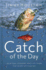 Catch of the Day By Houston, Jimmy Author Apr112012 Hardback