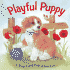Playful Puppy: a Touch and Feel Adventure