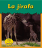 La Jirafa (Animales Del Zoologico) (Spanish Edition)