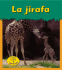 La Jirafa