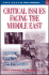 Critical Issues Facing the Middle East: Security, Politics and Economics (Initiatives in Strategic Studies: Issues and Policies)