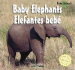 Baby Elephants/Elefantes Bebe (Baby Animals/Animales Beb) (Spanish and English Edition)