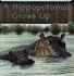 A Hippopotamus Grows Up (Wild Animals)