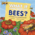 What If There Were No Bees? : a Book About the Grassland Ecosystem (Food Chain Reactions)