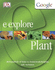 Plant (E. Explore)
