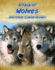 A Pack of Wolves: and Other Canine Groups (Animals in Groups)