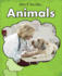 Animals (Young Explorer: Jobs If You Like...)
