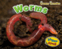 Worms (Creepy Crawlies)