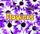 All About Flowers (All About Plants)