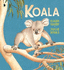 Koala: 1