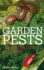 Garden Pests of Britain and Europe