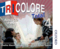 Tricolore Total 4 Audio Cd Pack-8 Class Cds 2 Student Cds (Audio Cd)