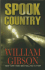 Spook Country (Thorndike Press Large Print Mystery Series)