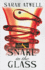 Snake in the Glass (Wheeler Large Print Cozy Mystery)