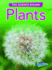 Plants (the Science Behind)